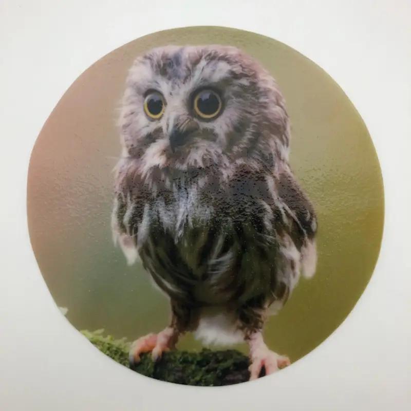 Decorative Silicone Jar Opener | Owl