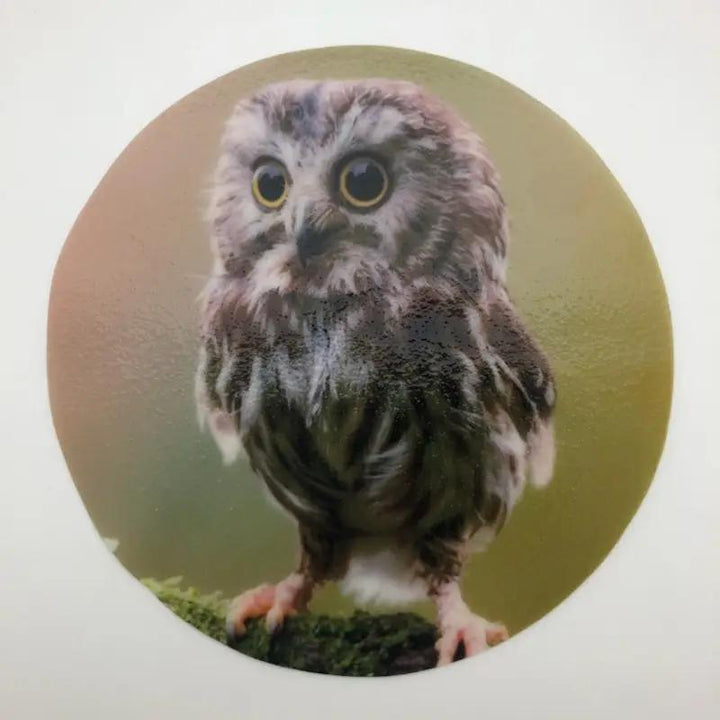 Decorative Silicone Jar Opener | Owl