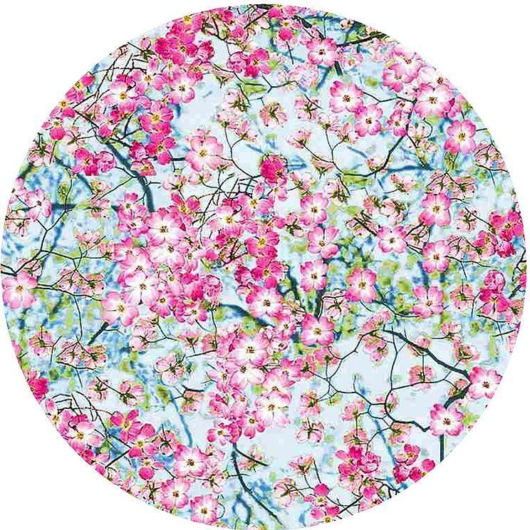 Decorative Silicone Jar Opener Pink Dogwood
