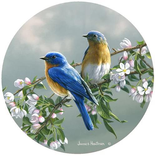 Decorative Silicone Jar Opener | Spring Blossom Bluebirds