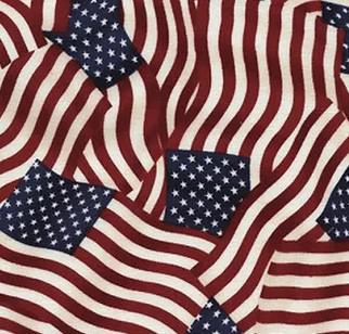 Decorative Silicone Lillie Pad Coaster | American Flag