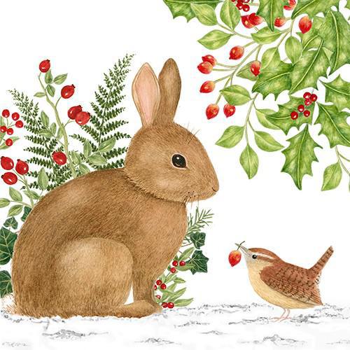 Flour Sack Towel Set | Brown Winter Bunny
