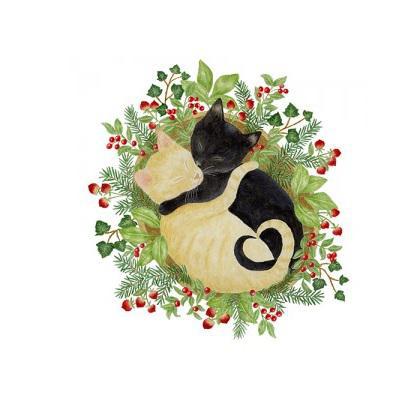 Flour Sack Towel Set | Kitty Snuggles