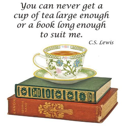 Flour Sack Towel Set | Never Enough Books