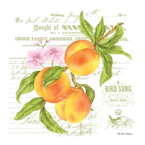 Flour Sack Towel Set Peach