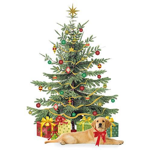 Flour Sack Towel Set | Pup Under the Christmas Tree