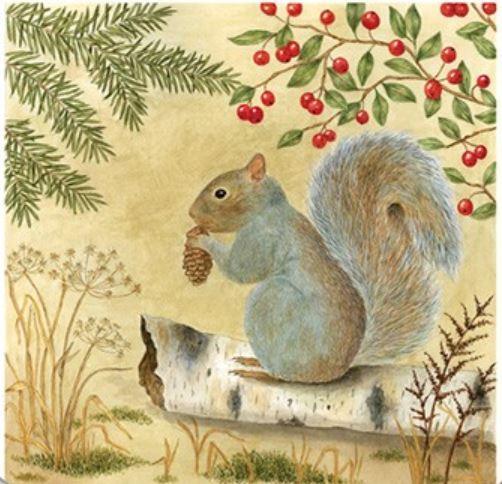 Flour Sack Towel Set Squirrel