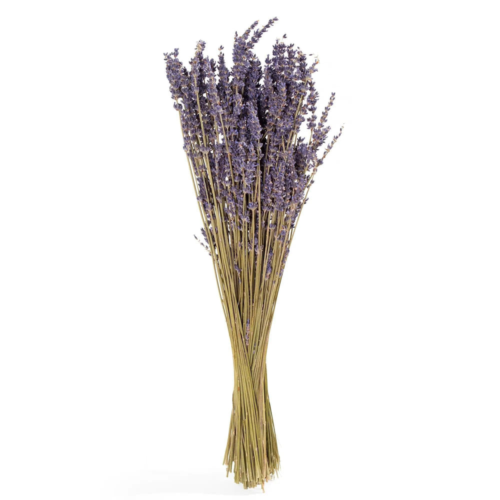 French Lavender Bundle