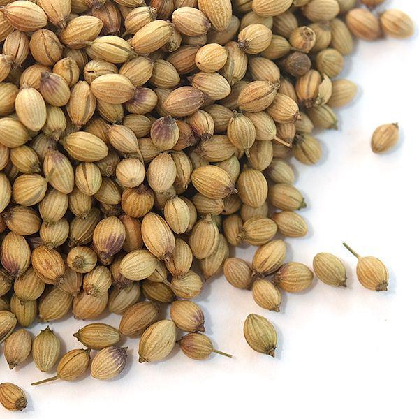 Golden Gait Mercantile Spices | Coriander Seeds