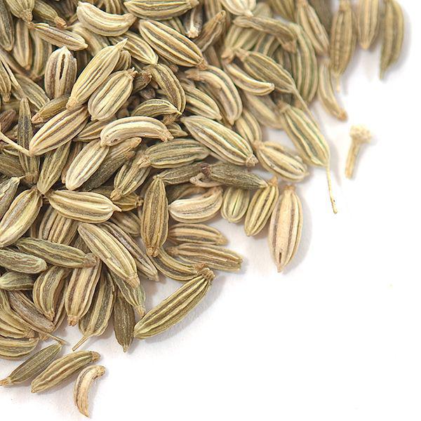 Golden Gait Mercantile Spices | Fennel Seed