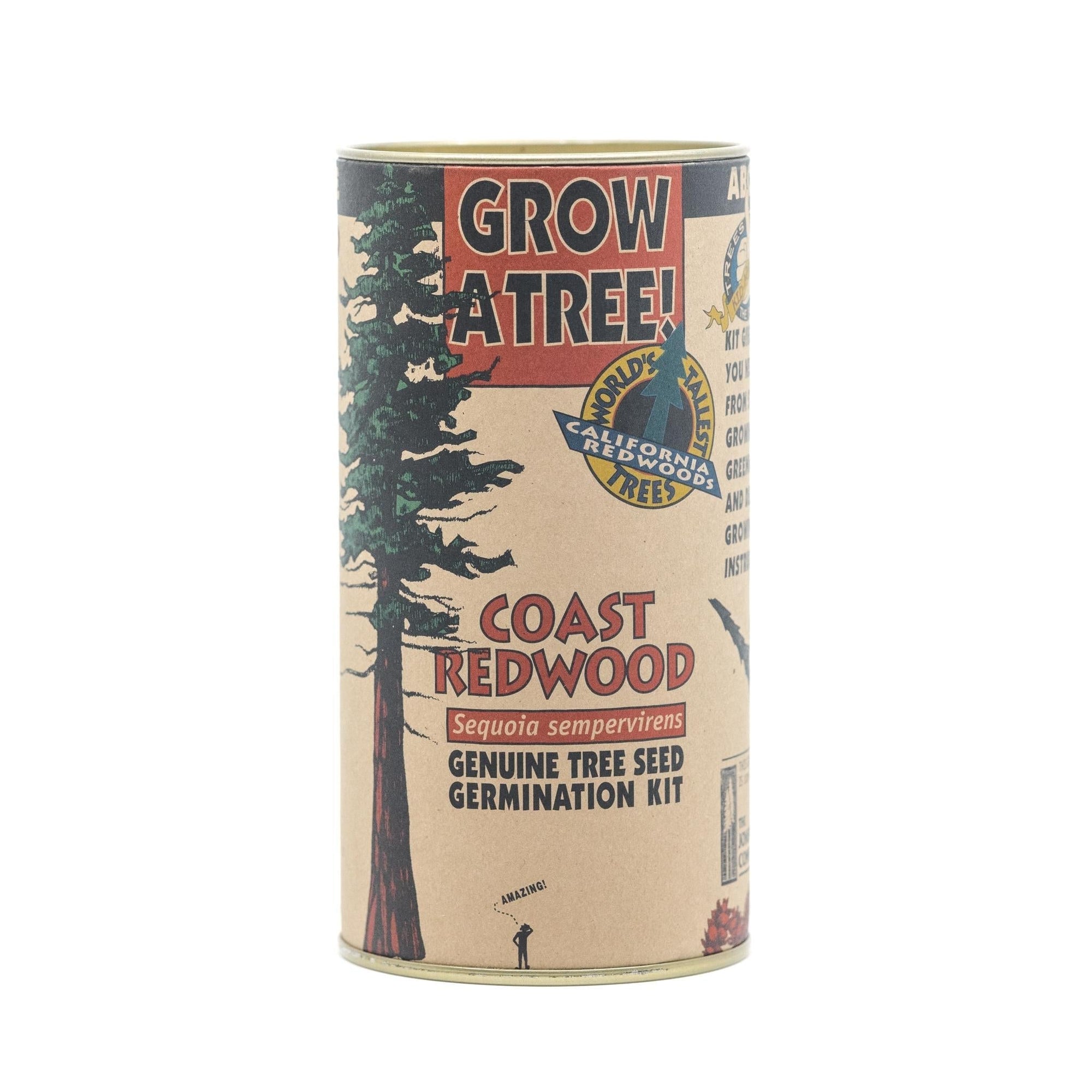 Grow A Tree Kit | Coast Redwood