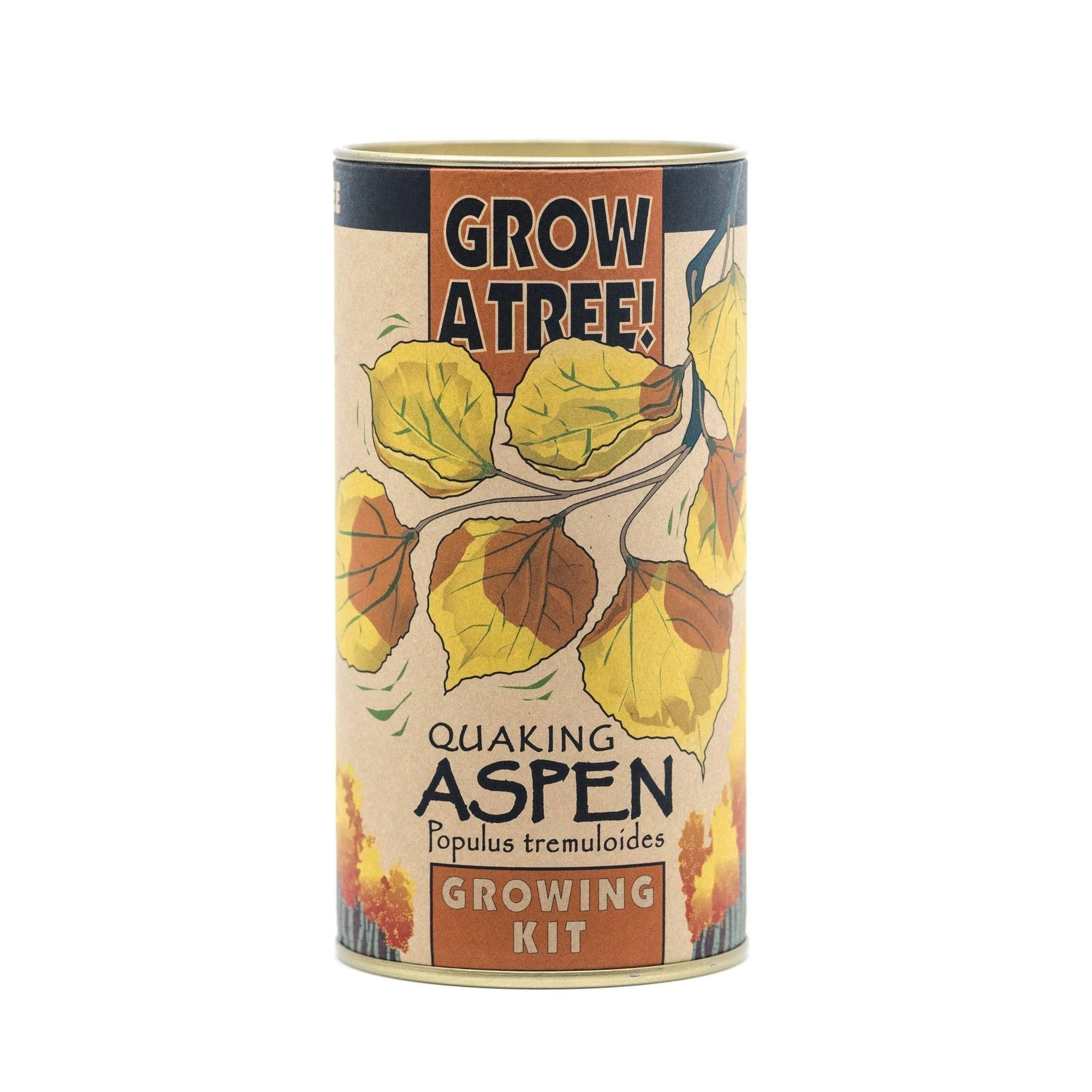 Grow A Tree Kit | Quaking Aspen Tree