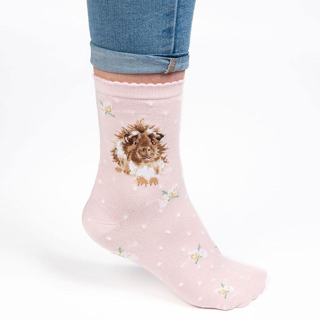 Guinea Pig "Grinny Pig" Socks by Wrendale