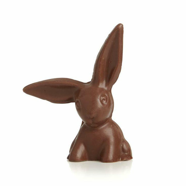 Hammond's Floppy Ear Milk Chocolate Bunny