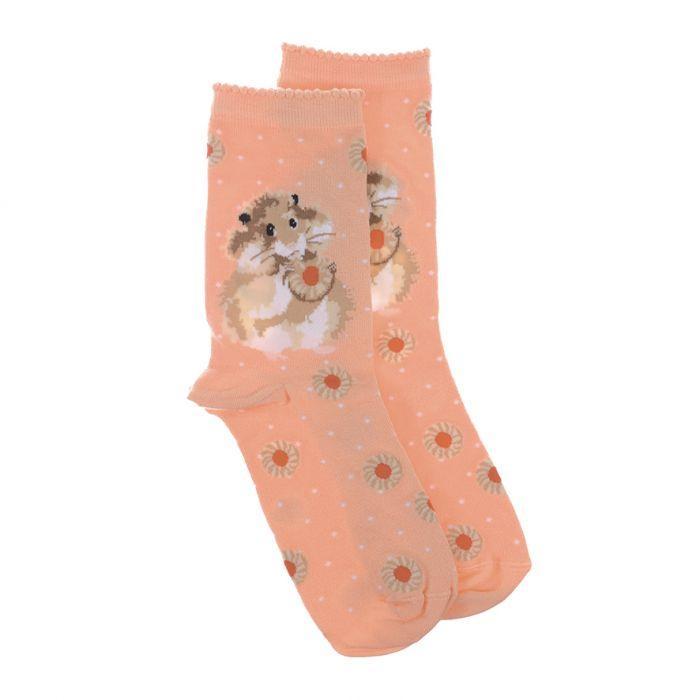 Hamster "Diet Starts Tomorrow " Socks by Wrendale