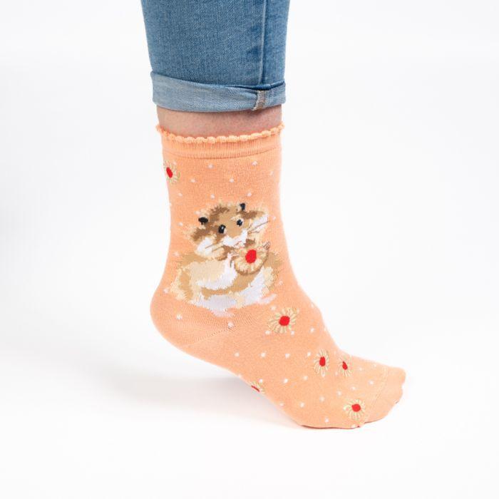 Hamster "Diet Starts Tomorrow " Socks by Wrendale