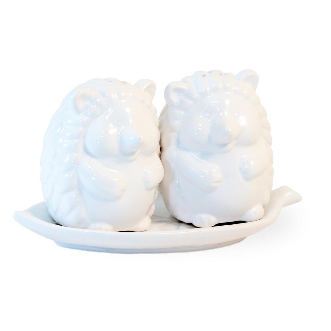 Hedgehog Salt and Pepper Shaker Set