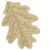 Heritage Lace Fall Placemat | Oak Leaf