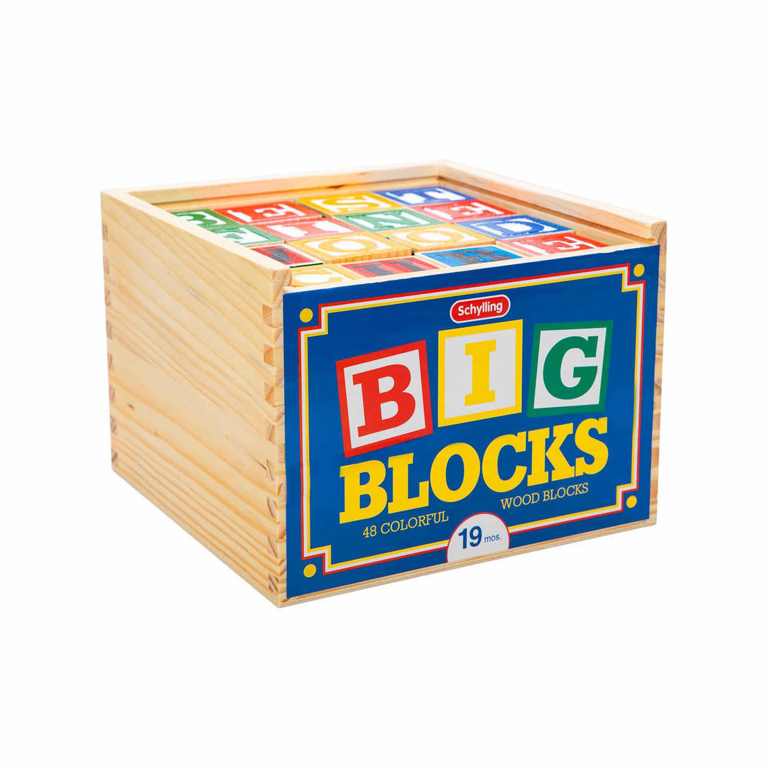 Large Wooden ABC Alphabet Blocks