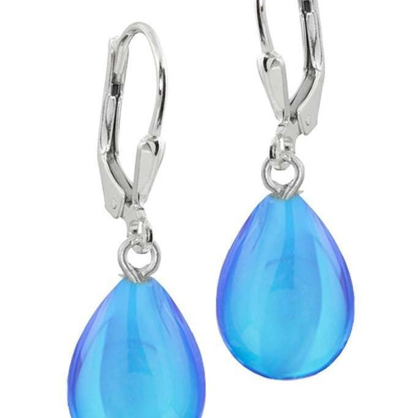 Leightworks Crystal Drop Earrings Blue