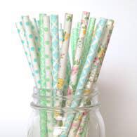 Colorful Paper Straws Maggie
