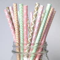Colorful Paper Straws Mia