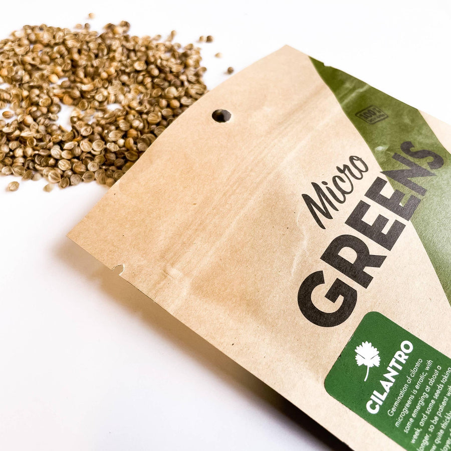 Micro Greens | Cilantro