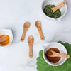 Mini Condiment Spoon | Woodland Owl
