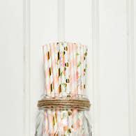 Colorful Paper Straws Molly