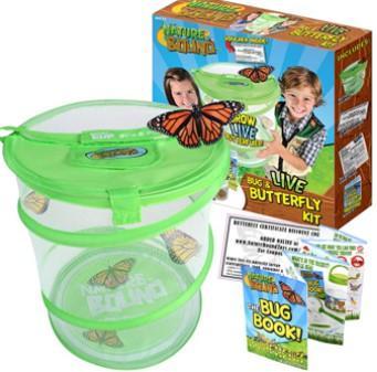 Nature Bound Live Bug & Butterfly Kit