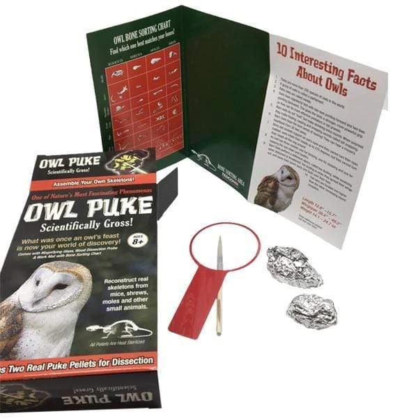 Owl Puke Dissection Kit