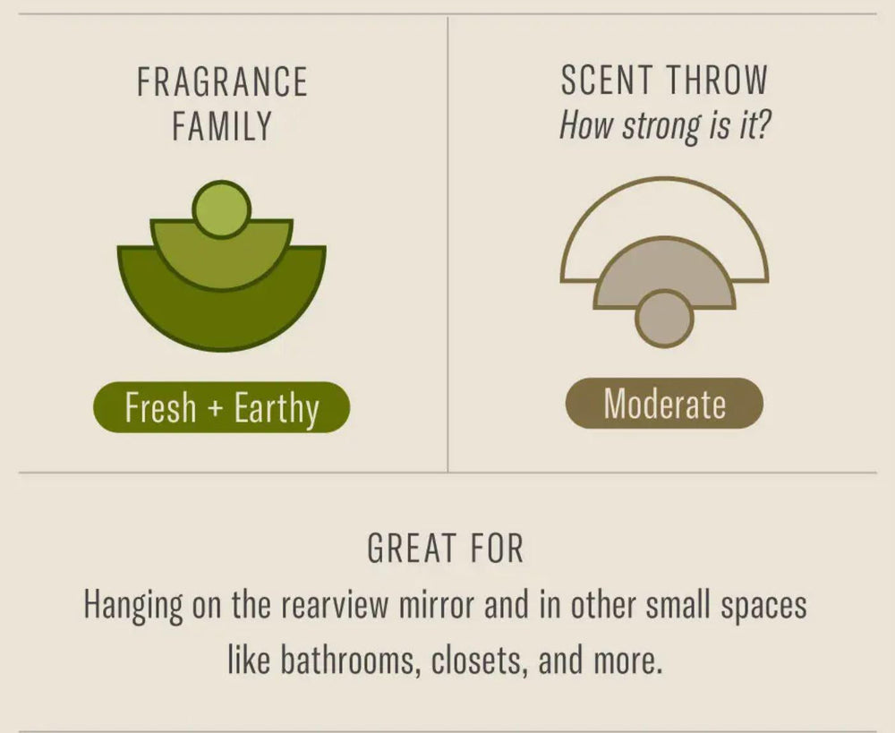 P.F. Candle Car Fragrance | Amber & Moss