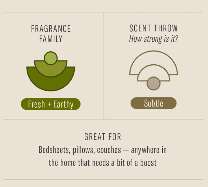 P.F. Candle Room & Linen Spray | Amber & Moss