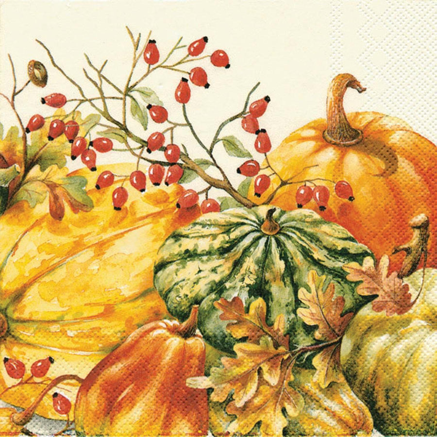 Paper Cocktail Napkins Calabaza Cream