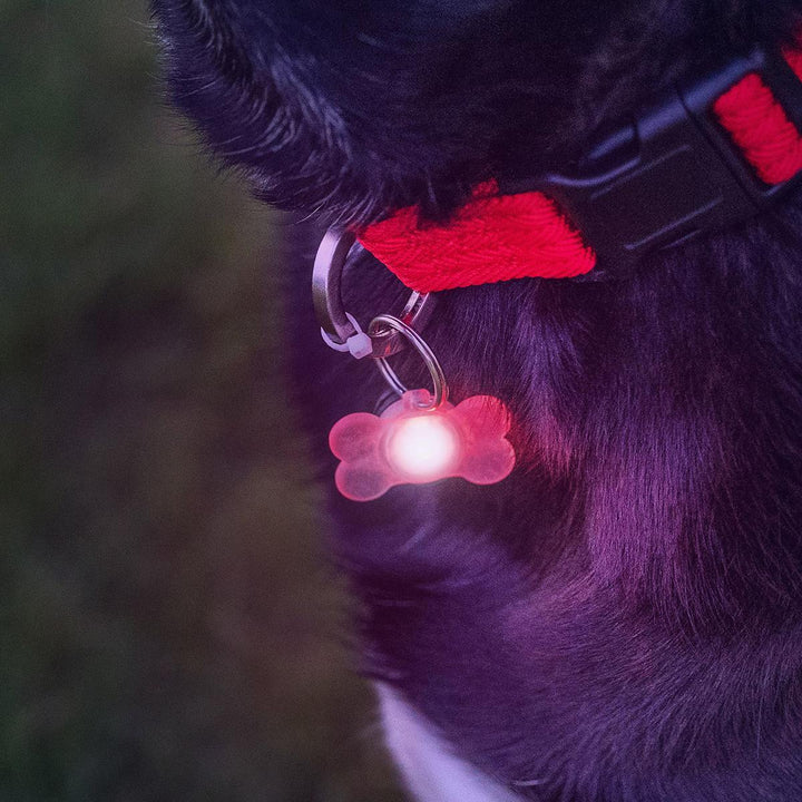 PupBrightz Dog Collar Lights