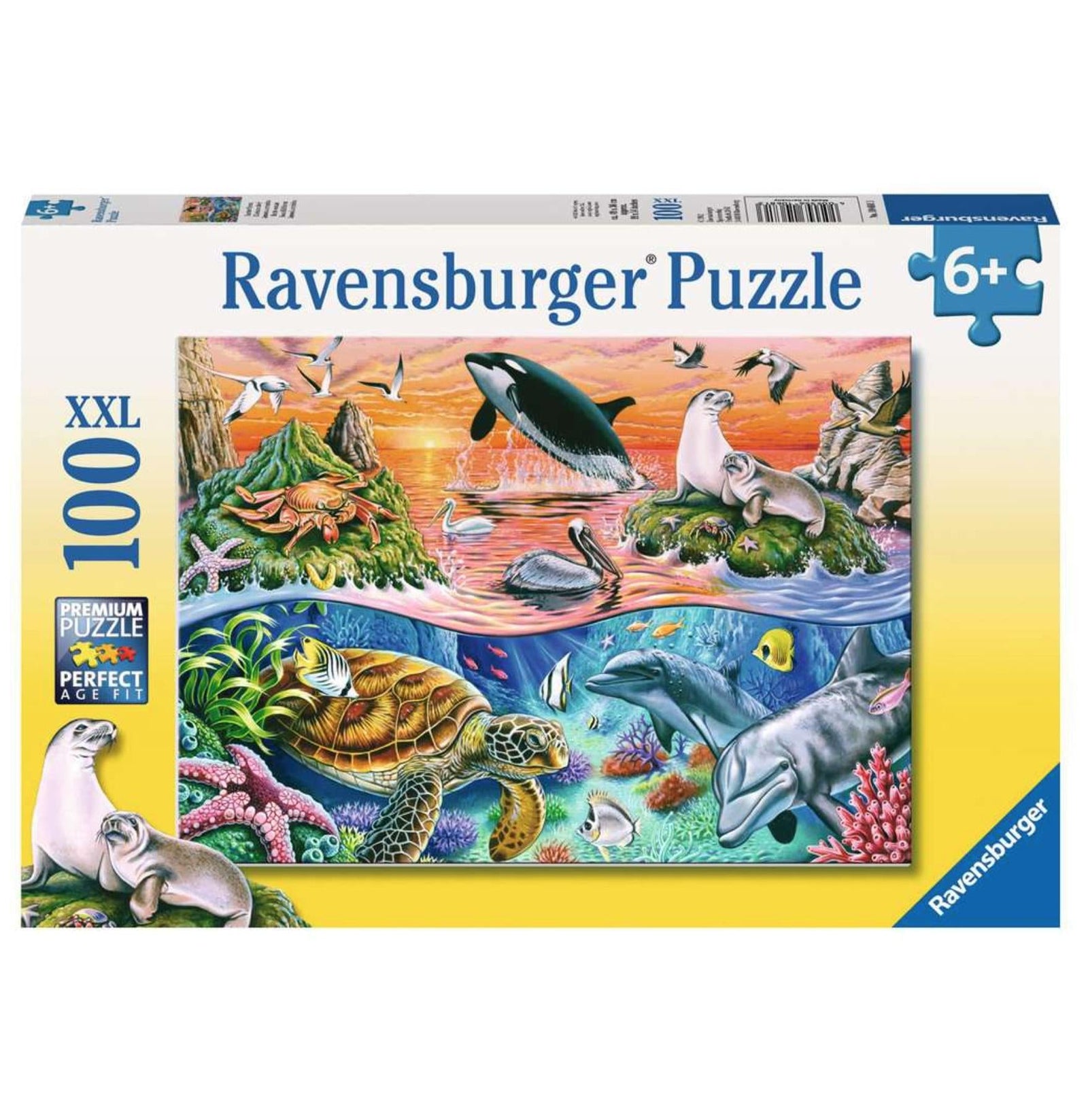 Alum makes puzzle with Ravensburger