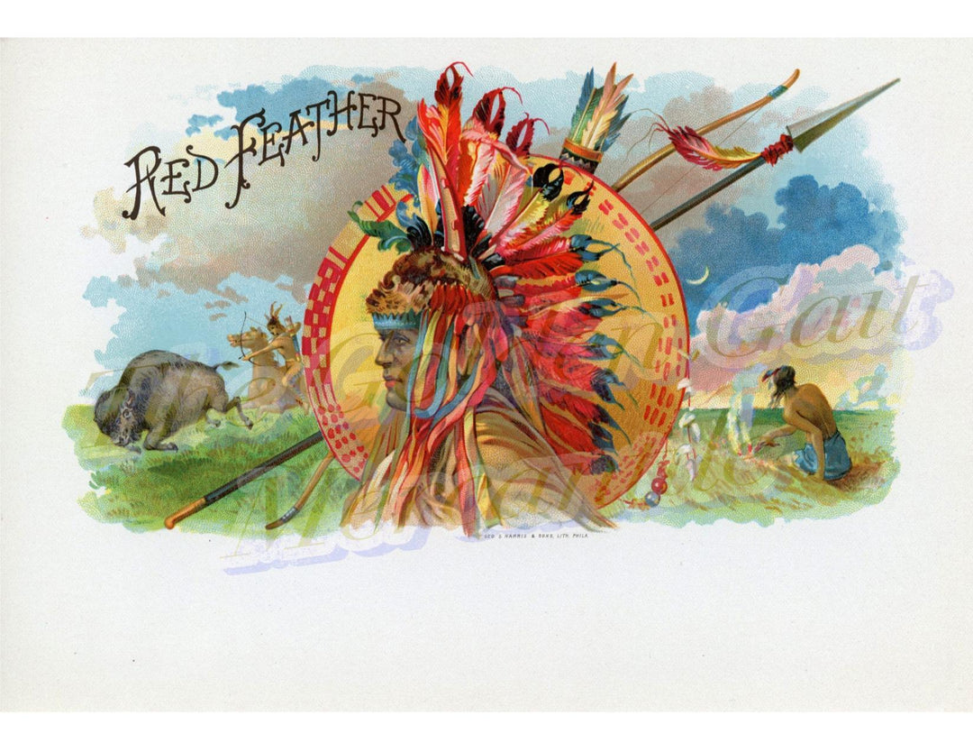 Red Feather Outer Indian Chief Harris Litho Original Cigar Box Label NEW Condition Vintage