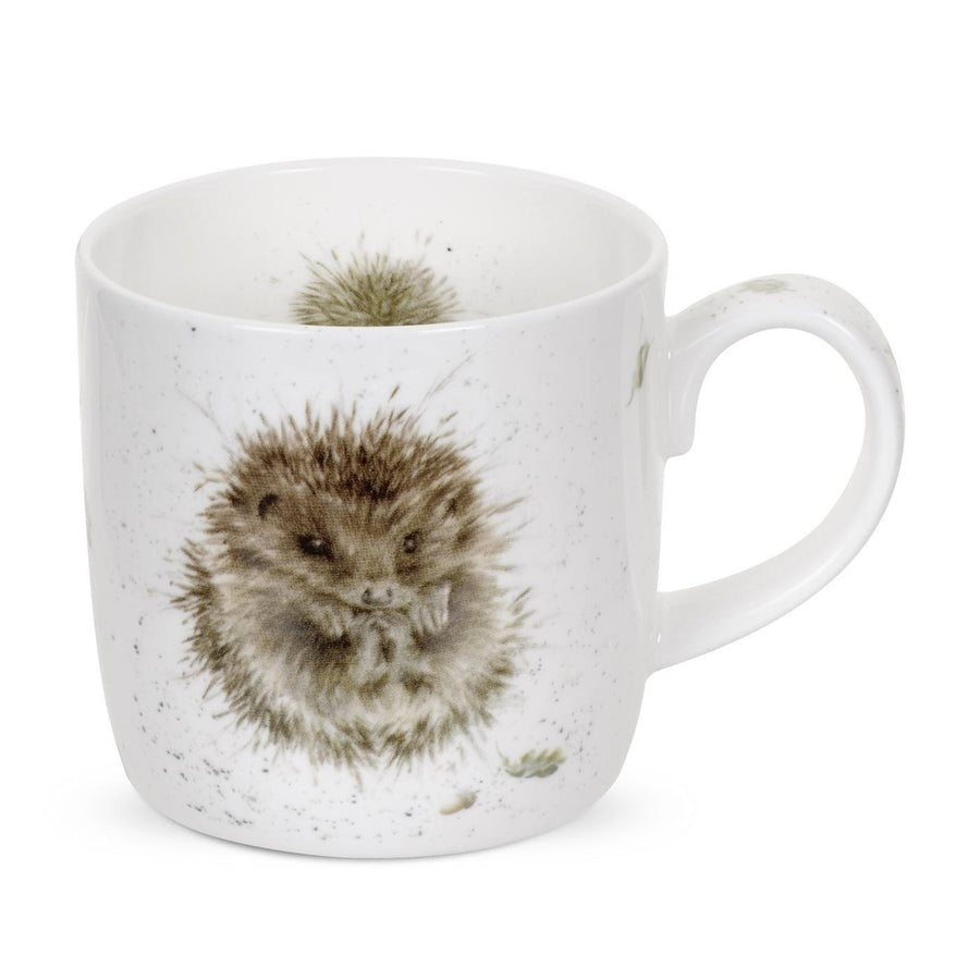 Royal Worcester Wrendale Designs Bone China Mug | Hedgehog Awakening