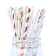 Colorful Paper Straws Sadie