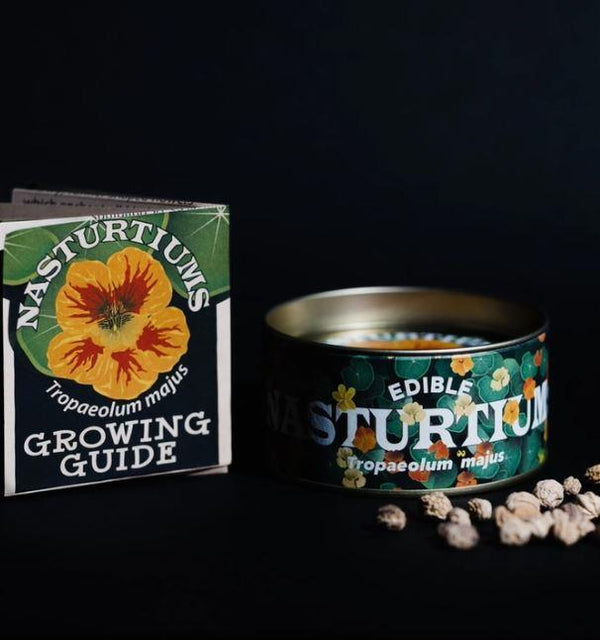Seed Grow Kit | Edible Nasturtium Flower Seeds