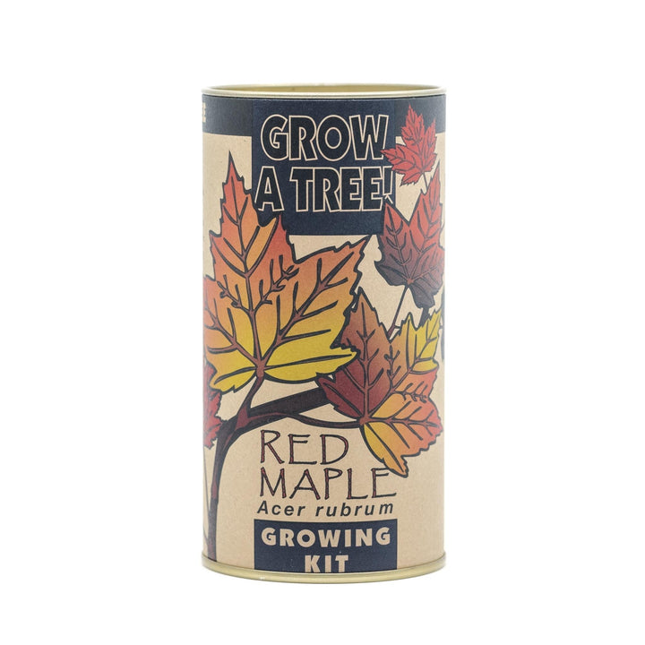 Seed Grow Kit | Red Maple Tree