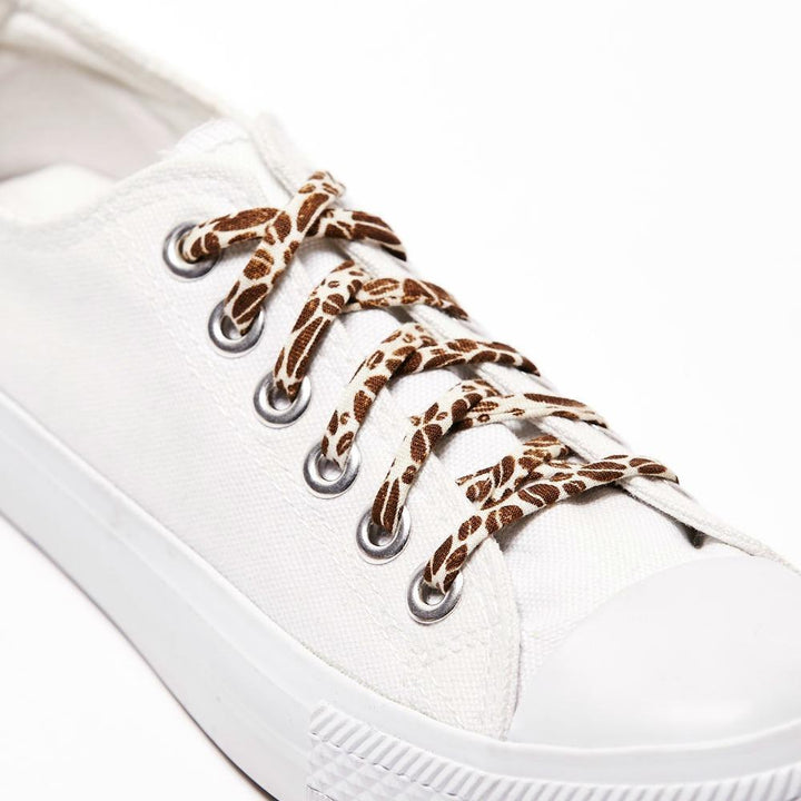 Shoelaces Coffee Beans