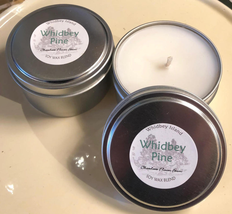 Soy Wax Travel Tin Candle | Whidbey Pine