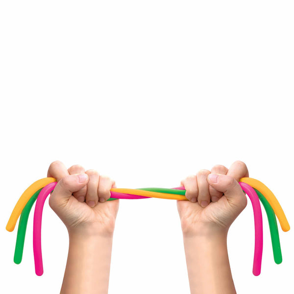 Stretchy Noodlies Toy