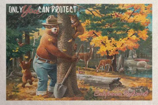 Tote Bag | California Redwoods Smokey Bear