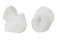 Turkey White Salt & Pepper Shakers