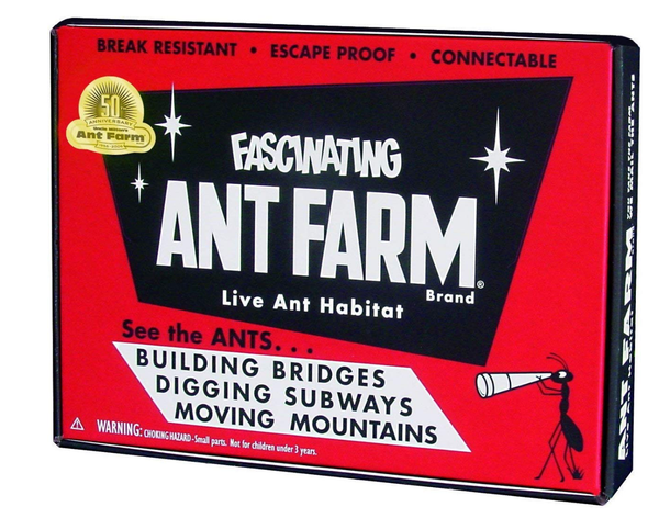 Uncle Milton Ant Farm Live Ant Habitat