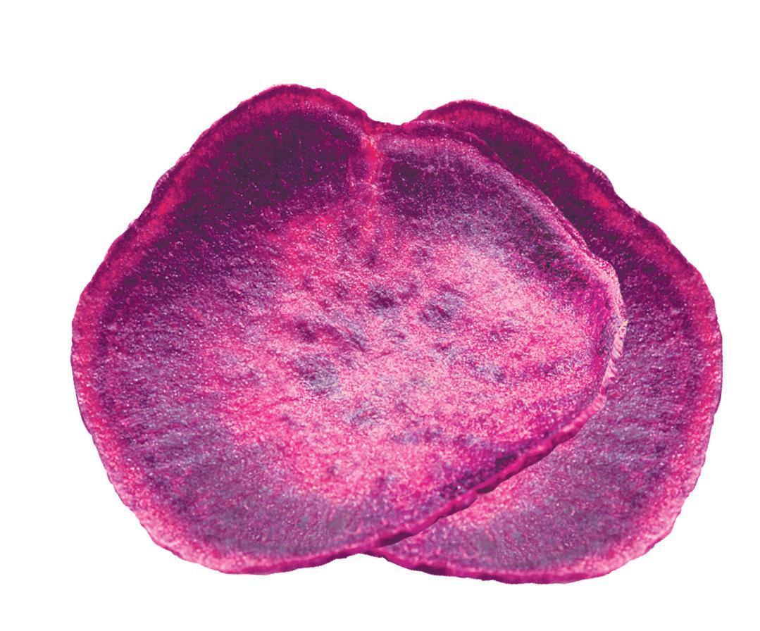 Wai Lana Rosemary Herb Purple Sweet Potato Chips