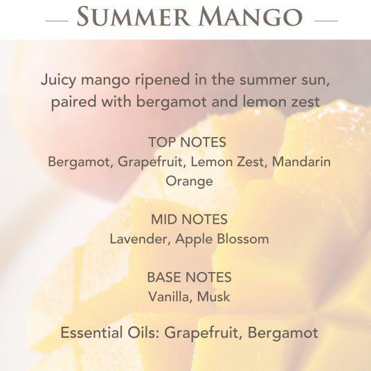 Wax Melts | Summer Mango