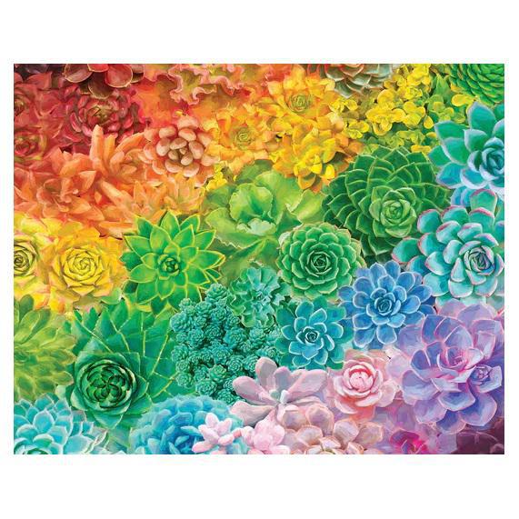 White Mountain Jigsaw Puzzle | Succulent Rainbow 1000 Piece